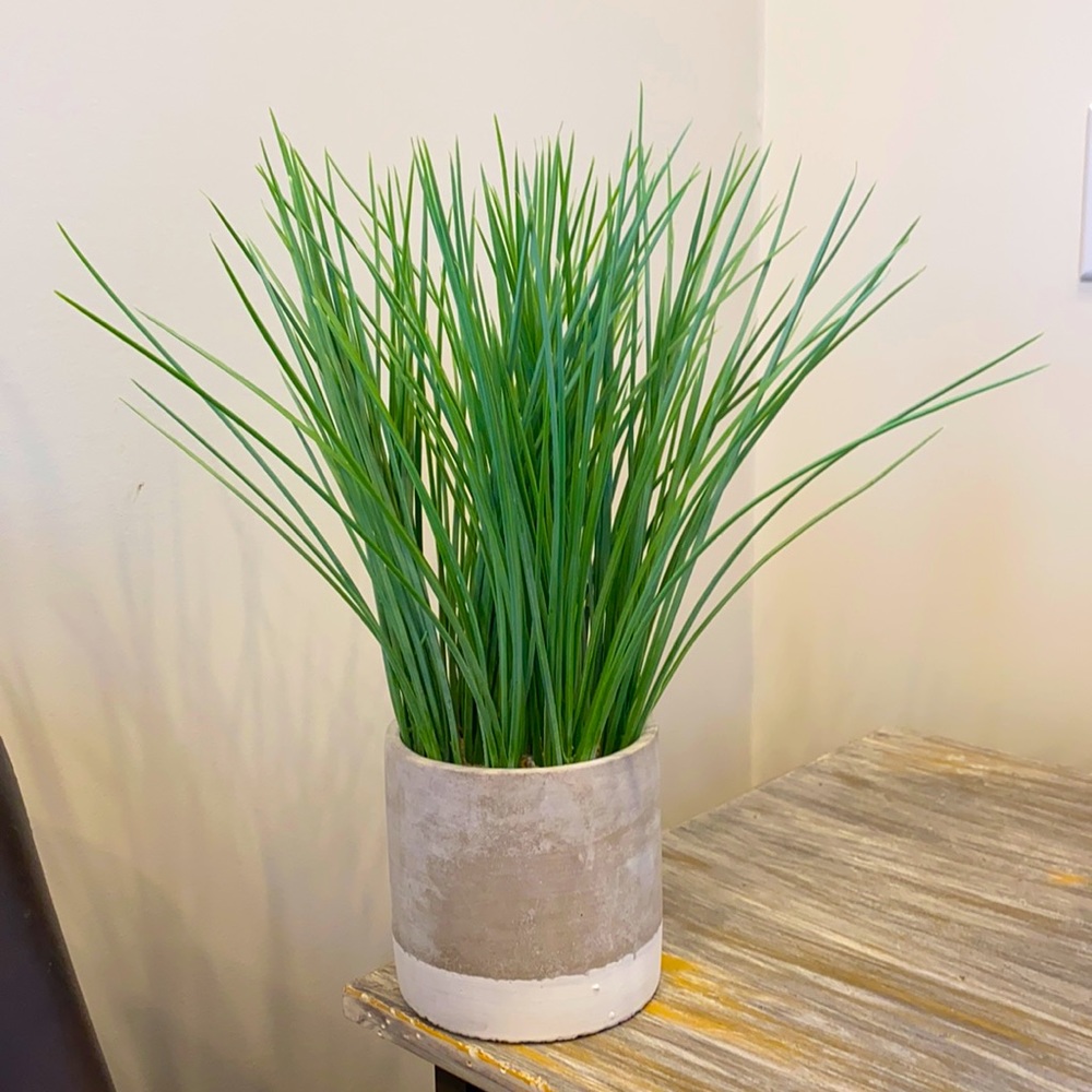 Fake plant with pot